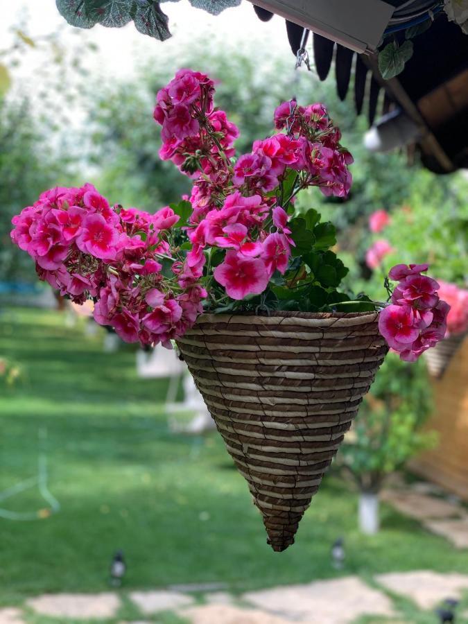 فيلا Casa Nita كوربو المظهر الخارجي الصورة